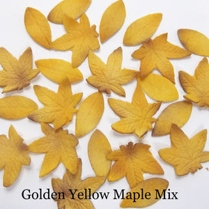 Golden Yellow Maple Leaf Mix!