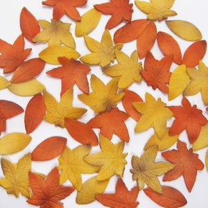 Yellow & Orange Maple Leaves combined!