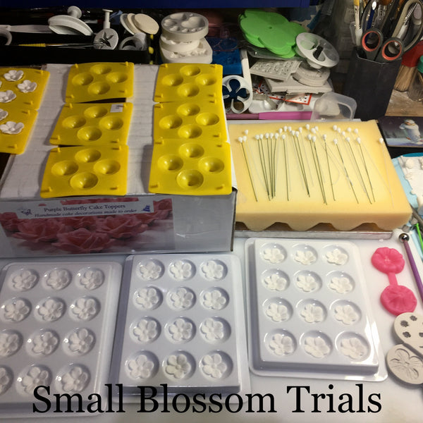 Small Blossom Trials