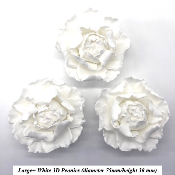 Larger White Peony for your Special Celebration Cakes!