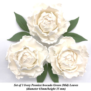 Ivory Peony with Green Leaves!