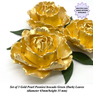 Gold Pearl Peony with Dark Green Leaves!