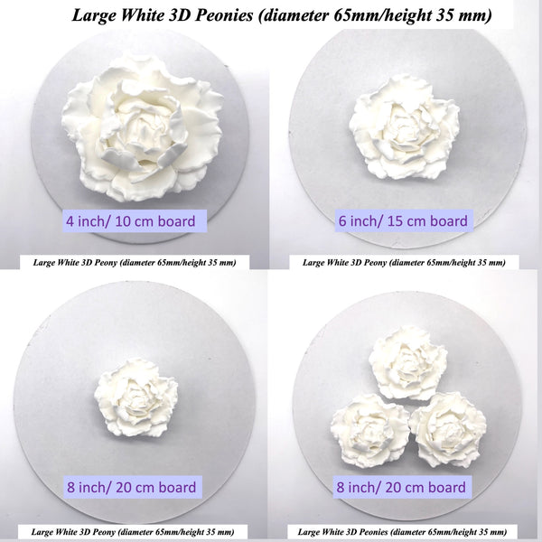 Large Peony Size Comparson