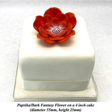 Orange Coral Peach Cake Flowers Edible Wedding Cake Birthday Cake Decoration Pearl Centre Sugar Flowers 55mm