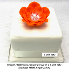 Orange Coral Peach Cake Flowers Edible Wedding Cake Birthday Cake Decoration Pearl Centre Sugar Flowers 55mm