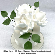 White Wired Larger Petal Large+ 3D Sugar Roses & Wired Leaves