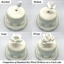 Wired 3D Ivory Sugar Roses Standard Petal 4 Sizes 25mm-70mm