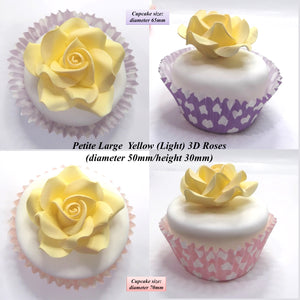 Yellow Cake Decorations. Shown on 65mm cupcake.