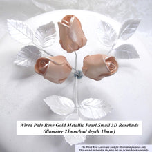 Pale Rose Gold Metallic Pearl 3D Sugar Roses