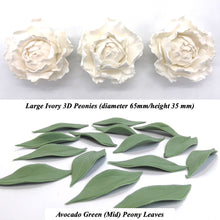 Ivory 3D Non-Wired Large Sugar Peonies & Leaves