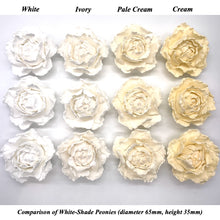 Cream 3D Non-Wired Large Sugar Peonies