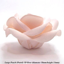 Large Pastel Peach 3D Sugar Roses cake decoration