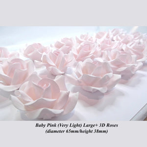 Pale Pink Large + 3D Sugar Roses